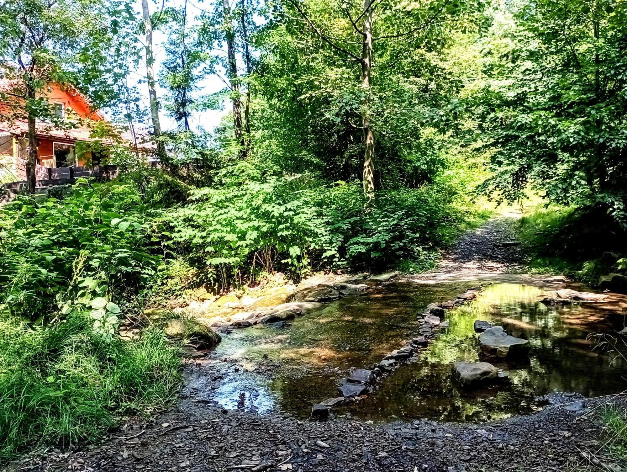 Ferienwohnung Przystanek Lesna Targanice Exterior foto